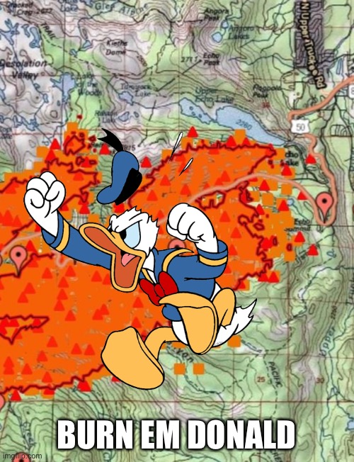 BURN EM  DONALD | image tagged in donald duck,fire,map | made w/ Imgflip meme maker