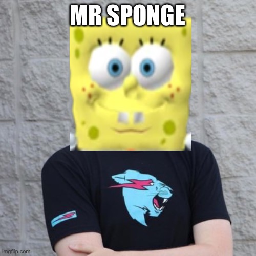 Mr. Beast | MR SPONGE | image tagged in mr beast,spongebob | made w/ Imgflip meme maker