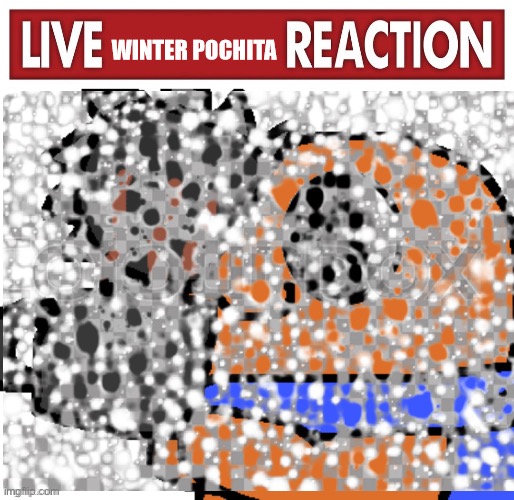 image tagged in live winter pochita reaction,pochita | made w/ Imgflip meme maker