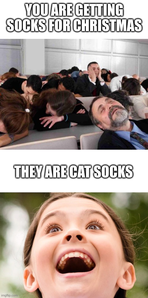 YOU ARE GETTING SOCKS FOR CHRISTMAS; THEY ARE CAT SOCKS | image tagged in boring | made w/ Imgflip meme maker