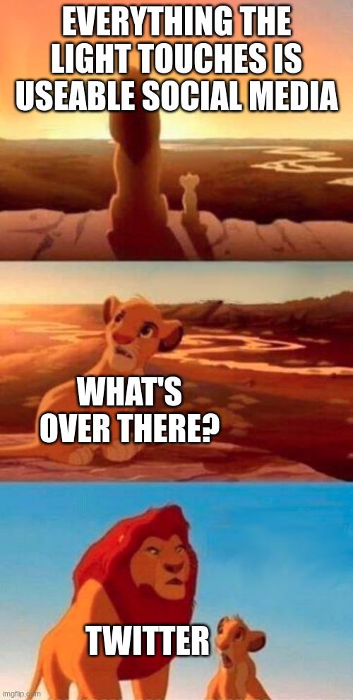 insert smort title | EVERYTHING THE LIGHT TOUCHES IS USEABLE SOCIAL MEDIA; WHAT'S OVER THERE? TWITTER | image tagged in lion king,ha ha tags go brr | made w/ Imgflip meme maker