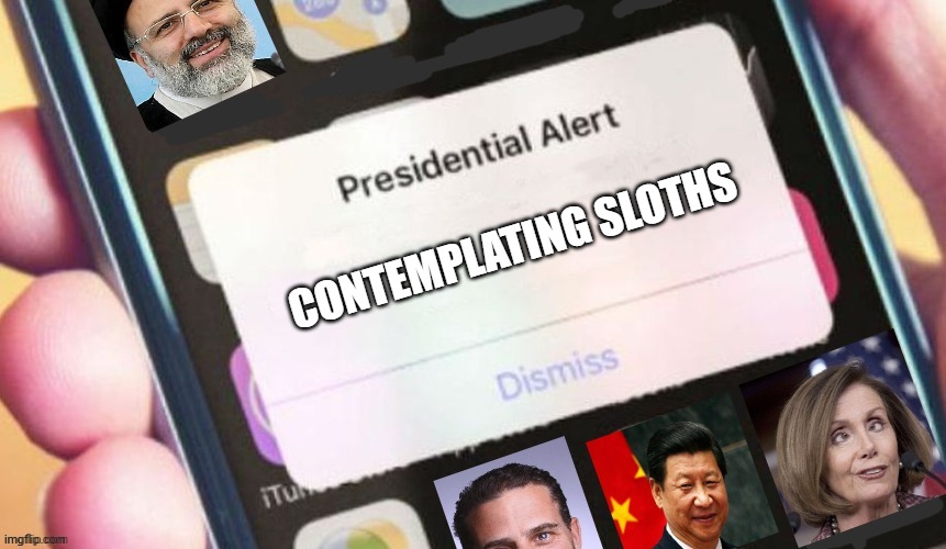 Jackass Presidential Alert | CONTEMPLATING SLOTHS | image tagged in sloth | made w/ Imgflip meme maker