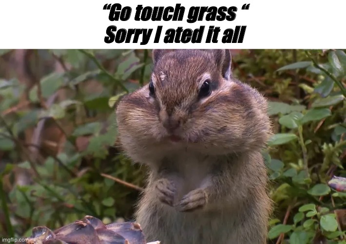 “Go touch grass “
Sorry I ated it all | made w/ Imgflip meme maker