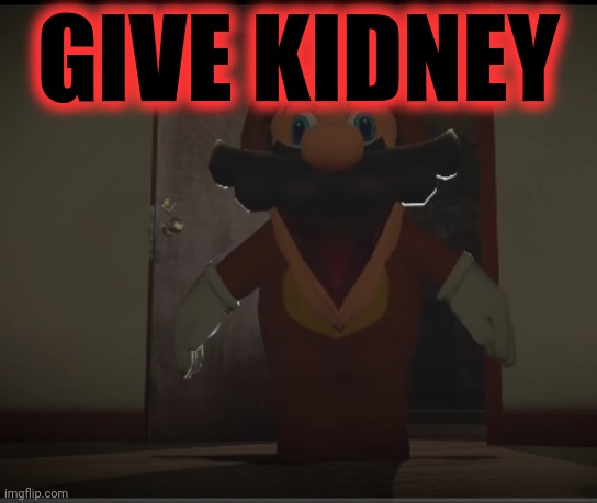 Tanooki Mario comes to steal your liver | GIVE KIDNEY | image tagged in tanooki mario comes to steal your liver | made w/ Imgflip meme maker