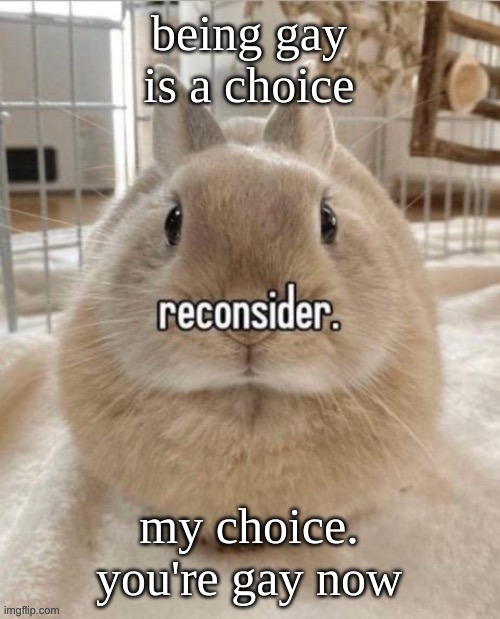 reconsider | being gay is a choice; my choice. you're gay now | image tagged in reconsider | made w/ Imgflip meme maker