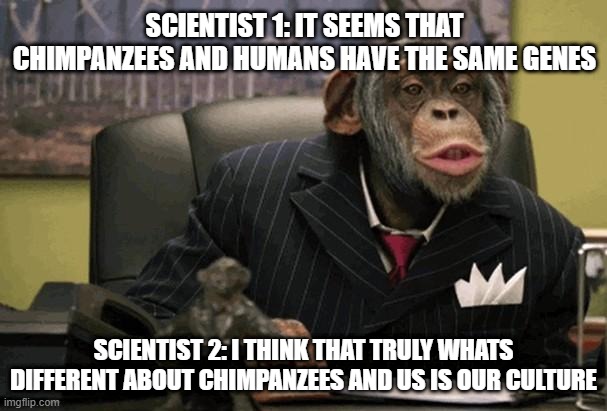 Business Chimp | SCIENTIST 1: IT SEEMS THAT CHIMPANZEES AND HUMANS HAVE THE SAME GENES; SCIENTIST 2: I THINK THAT TRULY WHATS DIFFERENT ABOUT CHIMPANZEES AND US IS OUR CULTURE | image tagged in business chimp | made w/ Imgflip meme maker