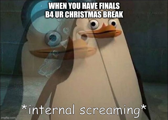 I have this :_( | WHEN YOU HAVE FINALS B4 UR CHRISTMAS BREAK | image tagged in private internal screaming | made w/ Imgflip meme maker