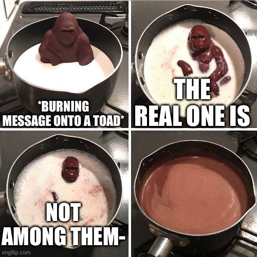 chocolate gorilla | *BURNING MESSAGE ONTO A TOAD*; THE REAL ONE IS; NOT AMONG THEM- | image tagged in chocolate gorilla | made w/ Imgflip meme maker