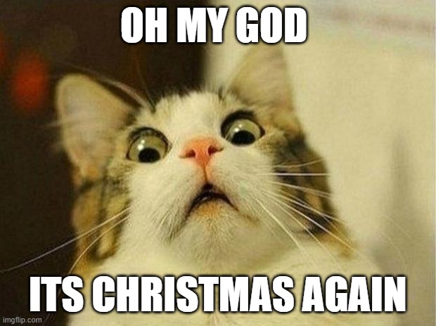 Cristmas :) | OH MY GOD; ITS CHRISTMAS AGAIN | image tagged in memes,scared cat | made w/ Imgflip meme maker