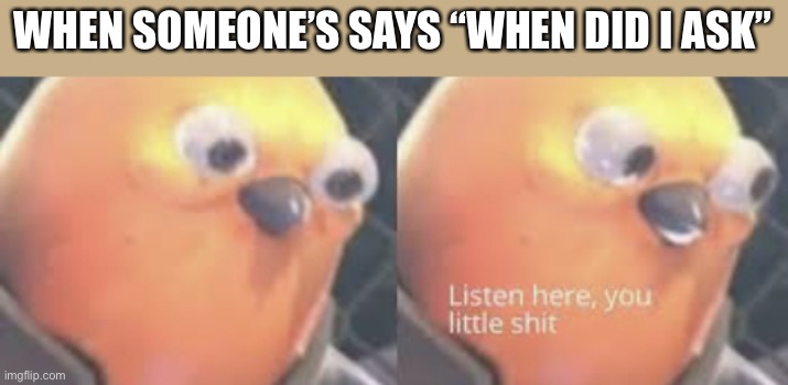 stupid idiots. | WHEN SOMEONE’S SAYS “WHEN DID I ASK” | image tagged in listen here you little shit bird | made w/ Imgflip meme maker