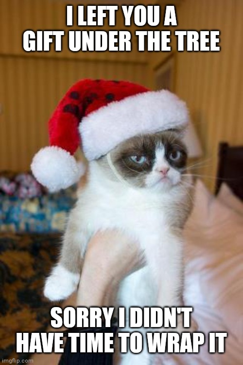 Grumpy Cat Christmas | I LEFT YOU A GIFT UNDER THE TREE; SORRY I DIDN'T HAVE TIME TO WRAP IT | image tagged in memes,grumpy cat christmas,grumpy cat | made w/ Imgflip meme maker