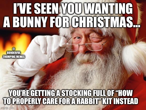 christmas bunny | I’VE SEEN YOU WANTING A BUNNY FOR CHRISTMAS…; @ BUNDERFUL THUMPING MEMES; YOU’RE GETTING A STOCKING FULL OF “HOW TO PROPERLY CARE FOR A RABBIT” KIT INSTEAD | image tagged in santa | made w/ Imgflip meme maker