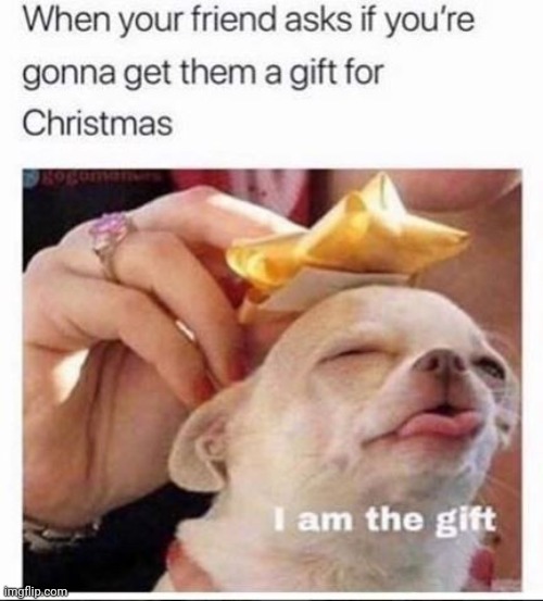 exactly | image tagged in friends,christmas gifts | made w/ Imgflip meme maker