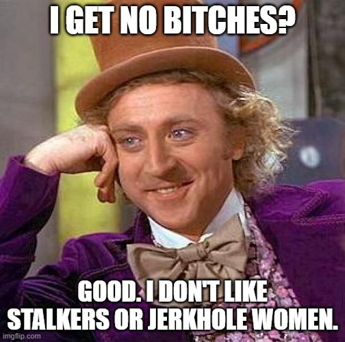 Lol, I Got No Bitches | I GET NO BITCHES? GOOD. I DON'T LIKE STALKERS OR JERKHOLE WOMEN. | image tagged in memes,creepy condescending wonka,no bitches | made w/ Imgflip meme maker