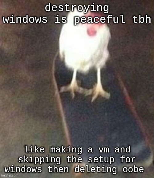 Dog on skateboard | destroying windows is peaceful tbh; like making a vm and skipping the setup for windows then deleting oobe | image tagged in dog on skateboard | made w/ Imgflip meme maker