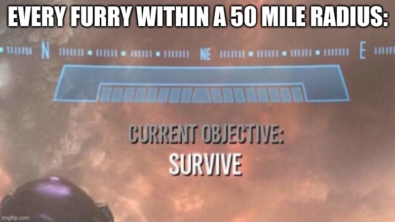 Current Objective: Survive | EVERY FURRY WITHIN A 50 MILE RADIUS: | image tagged in current objective survive | made w/ Imgflip meme maker