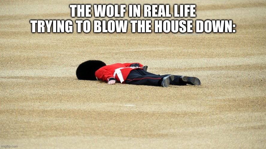 MAN DOWN | THE WOLF IN REAL LIFE TRYING TO BLOW THE HOUSE DOWN: | image tagged in man down | made w/ Imgflip meme maker