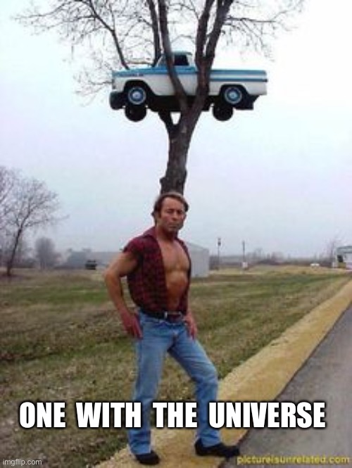Sexy car on tree | ONE  WITH  THE  UNIVERSE | image tagged in sexy car on tree | made w/ Imgflip meme maker