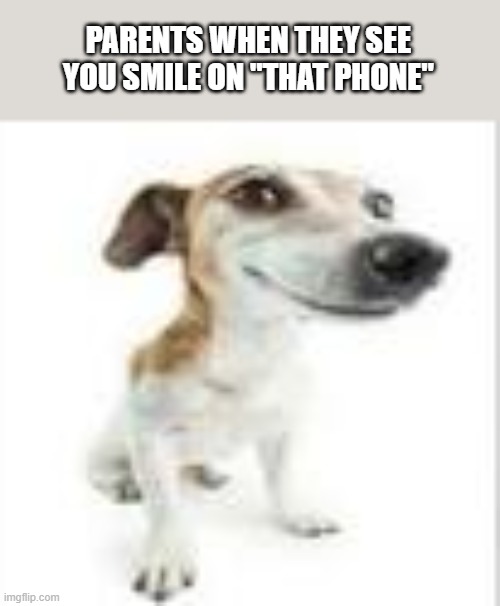 maybe true??? | PARENTS WHEN THEY SEE YOU SMILE ON "THAT PHONE" | image tagged in goofy dog | made w/ Imgflip meme maker