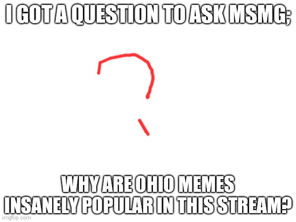 I GOT A QUESTION TO ASK MSMG;; WHY ARE OHIO MEMES INSANELY POPULAR IN THIS STREAM? | image tagged in question,questions | made w/ Imgflip meme maker