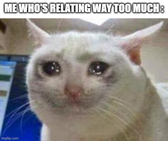 Sad cat | ME WHO'S RELATING WAY TOO MUCH : | image tagged in sad cat | made w/ Imgflip meme maker