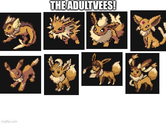 The alternative version of the baby eeveelutions | THE ADULTVEES! | image tagged in blank white template | made w/ Imgflip meme maker