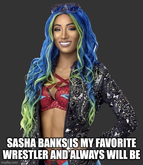 Sasha banks 2021 render | SASHA BANKS IS MY FAVORITE WRESTLER AND ALWAYS WILL BE | image tagged in sasha banks 2021 render | made w/ Imgflip meme maker