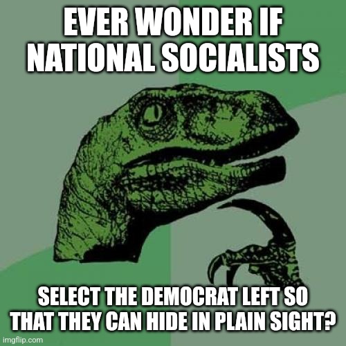 Philosoraptor | EVER WONDER IF NATIONAL SOCIALISTS; SELECT THE DEMOCRAT LEFT SO THAT THEY CAN HIDE IN PLAIN SIGHT? | image tagged in memes,philosoraptor | made w/ Imgflip meme maker