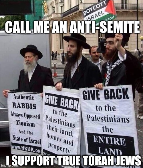 CALL ME AN ANTI-SEMITE; I SUPPORT TRUE TORAH JEWS | image tagged in true torah jews | made w/ Imgflip meme maker