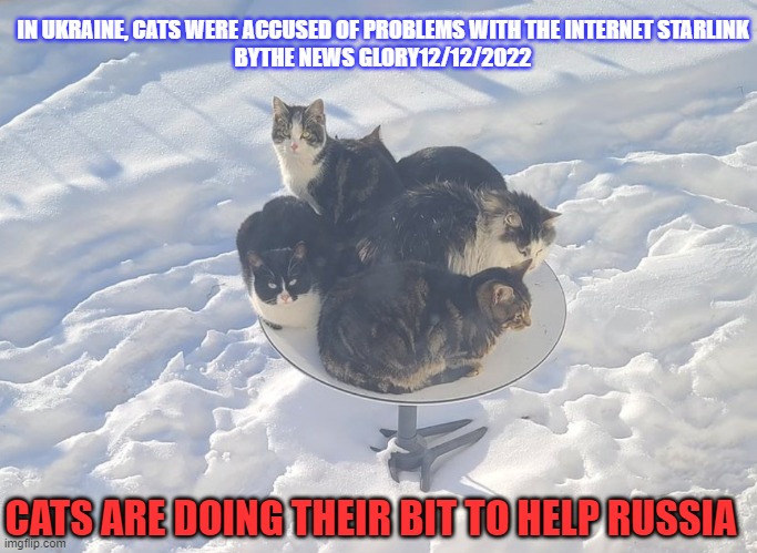 Cats | IN UKRAINE, CATS WERE ACCUSED OF PROBLEMS WITH THE INTERNET STARLINK
BYTHE NEWS GLORY12/12/2022; CATS ARE DOING THEIR BIT TO HELP RUSSIA | image tagged in starlink ukraine | made w/ Imgflip meme maker