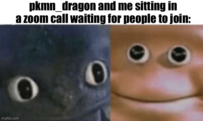 the pokemon stream zoom call | pkmn_dragon and me sitting in a zoom call waiting for people to join: | made w/ Imgflip meme maker