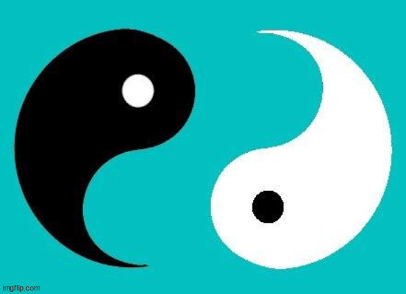 Yin Yang | image tagged in yin yang | made w/ Imgflip meme maker