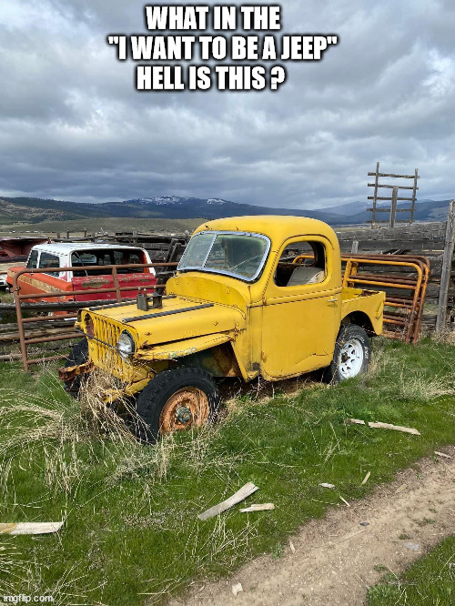 WHAT IN THE        "I WANT TO BE A JEEP"      HELL IS THIS ? | image tagged in durl earl | made w/ Imgflip meme maker