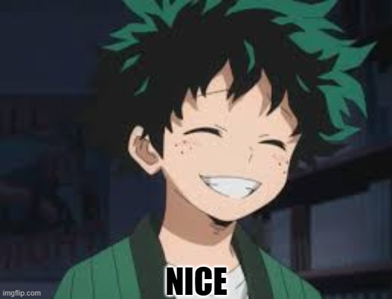 Deku smile | NICE | image tagged in deku smile | made w/ Imgflip meme maker