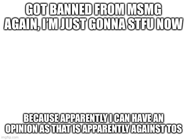 GOT BANNED FROM MSMG AGAIN, I’M JUST GONNA STFU NOW; BECAUSE APPARENTLY I CAN HAVE AN OPINION AS THAT IS APPARENTLY AGAINST TOS | image tagged in welp,there i go | made w/ Imgflip meme maker