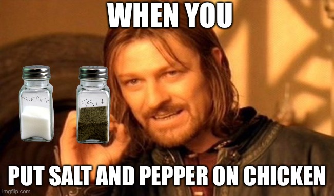 One Does Not Simply | WHEN YOU; PUT SALT AND PEPPER ON CHICKEN | image tagged in memes,one does not simply,funny,salt and pepper,salt,pepper | made w/ Imgflip meme maker