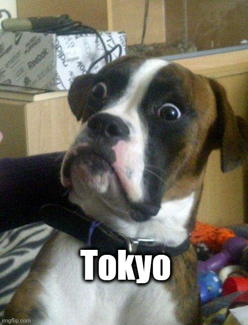 Blankie the Shocked Dog | Tokyo | image tagged in blankie the shocked dog | made w/ Imgflip meme maker