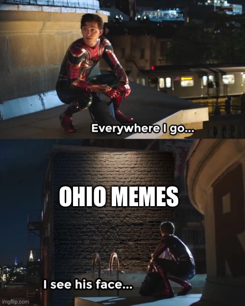down in ohio swag like ohio | OHIO MEMES | image tagged in everywhere i go i see his face | made w/ Imgflip meme maker