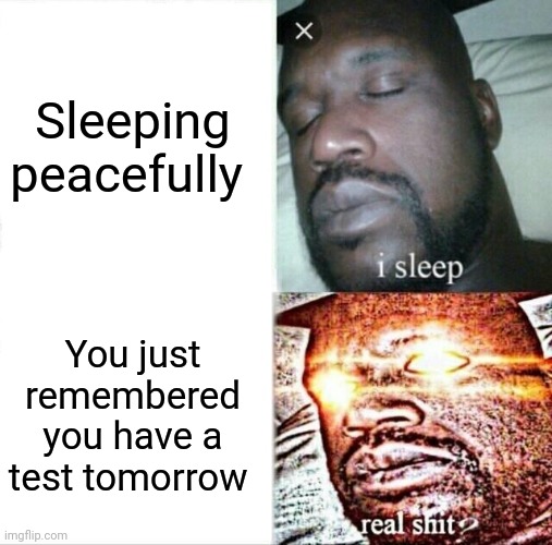 Goofy ahh meme | Sleeping peacefully; You just remembered you have a test tomorrow | image tagged in memes,sleeping shaq | made w/ Imgflip meme maker