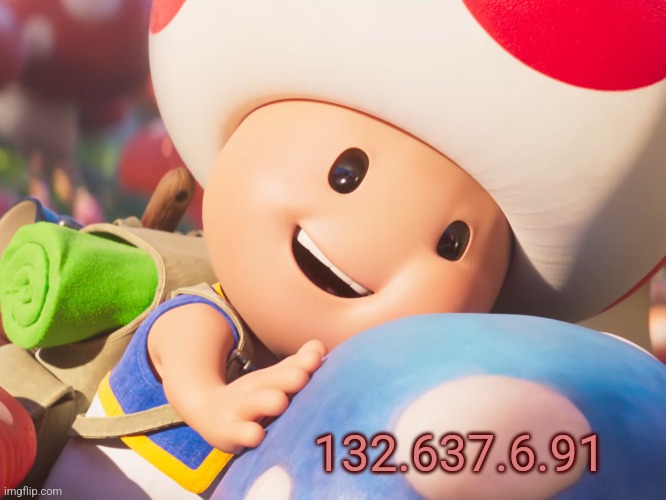 132.637.6.91 | made w/ Imgflip meme maker