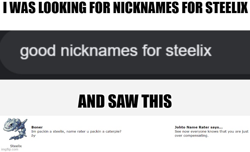 Source is in the comments... | I WAS LOOKING FOR NICKNAMES FOR STEELIX; AND SAW THIS | image tagged in memes,pokemon,nsfw,nickname,name | made w/ Imgflip meme maker