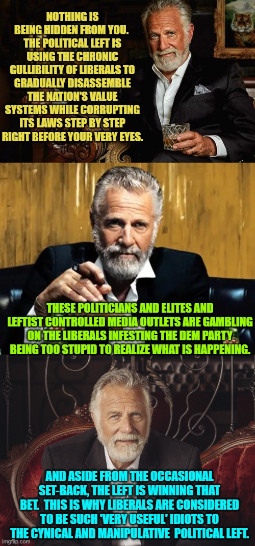 There you have it . . . the absolute truth.  Enjoy. | NOTHING IS BEING HIDDEN FROM YOU.  THE POLITICAL LEFT IS USING THE CHRONIC GULLIBILITY OF LIBERALS TO GRADUALLY DISASSEMBLE THE NATION'S VALUE SYSTEMS WHILE CORRUPTING ITS LAWS STEP BY STEP RIGHT BEFORE YOUR VERY EYES. THESE POLITICIANS AND ELITES AND LEFTIST CONTROLLED MEDIA OUTLETS ARE GAMBLING ON THE LIBERALS INFESTING THE DEM PARTY BEING TOO STUPID TO REALIZE WHAT IS HAPPENING. AND ASIDE FROM THE OCCASIONAL SET-BACK, THE LEFT IS WINNING THAT BET.  THIS IS WHY LIBERALS ARE CONSIDERED TO BE SUCH 'VERY USEFUL' IDIOTS TO THE CYNICAL AND MANIPULATIVE  POLITICAL LEFT. | image tagged in truth | made w/ Imgflip meme maker