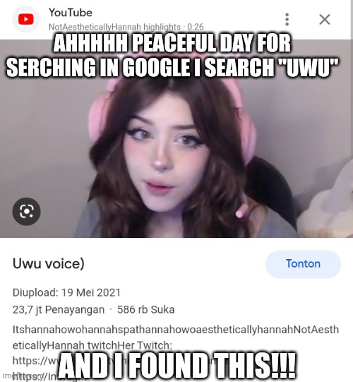 What the- (note: this is not sexualy ok) | AHHHHH PEACEFUL DAY FOR SERCHING IN GOOGLE I SEARCH "UWU"; AND I FOUND THIS!!! | image tagged in bruh | made w/ Imgflip meme maker