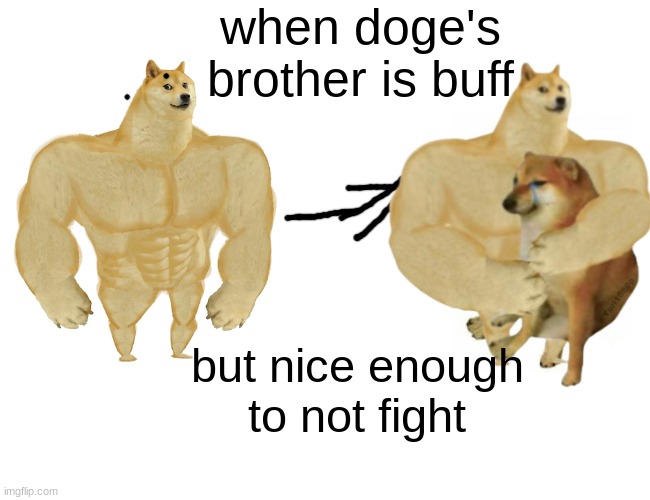 Buff Doge vs. Cheems Meme | when doge's brother is buff; but nice enough to not fight | image tagged in memes,buff doge vs cheems | made w/ Imgflip meme maker