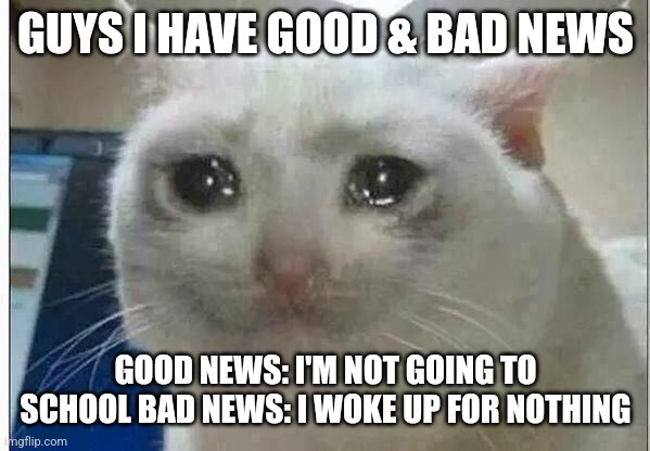 I woke up 4 nothing;-; | GUYS I HAVE GOOD & BAD NEWS; GOOD NEWS: I'M NOT GOING TO SCHOOL BAD NEWS: I WOKE UP FOR NOTHING | image tagged in crying cat | made w/ Imgflip meme maker