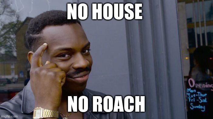 Roll Safe Think About It Meme | NO HOUSE NO ROACH | image tagged in memes,roll safe think about it | made w/ Imgflip meme maker