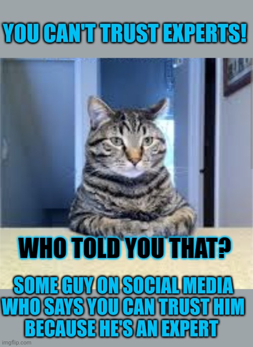 This #lolcat wonders if you can trust experts | YOU CAN'T TRUST EXPERTS! WHO TOLD YOU THAT? SOME GUY ON SOCIAL MEDIA
WHO SAYS YOU CAN TRUST HIM
BECAUSE HE'S AN EXPERT | image tagged in lolcat,expert,think about it,do you trust me | made w/ Imgflip meme maker