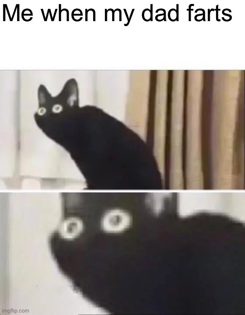Oh No Black Cat | Me when my dad farts | image tagged in oh no black cat | made w/ Imgflip meme maker
