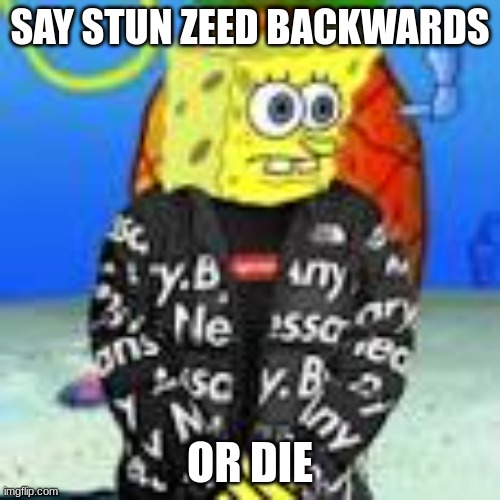 stun zeed | SAY STUN ZEED BACKWARDS; OR DIE | image tagged in spongebob drip,funny | made w/ Imgflip meme maker