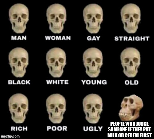 idiot skull | PEOPLE WHO JUDGE SOMEONE IF THEY PUT MILK OR CEREAL FIRST | image tagged in idiot skull | made w/ Imgflip meme maker